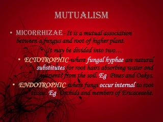 Mutualism
• Micorrhizae- It is a mutual association
between a fungus and root of higher plant.
• It may be divided into two…
• ECTOTROPHIC-where fungal hyphae are natural
substitutes for root hairs absorbing water and
nutrients from the soil. Eg: Pines and Oakes.
• ENDOTROPHIC-where fungi occur internal to root
tissue. Eg: Orchids and members of Ericaceaehe.
 