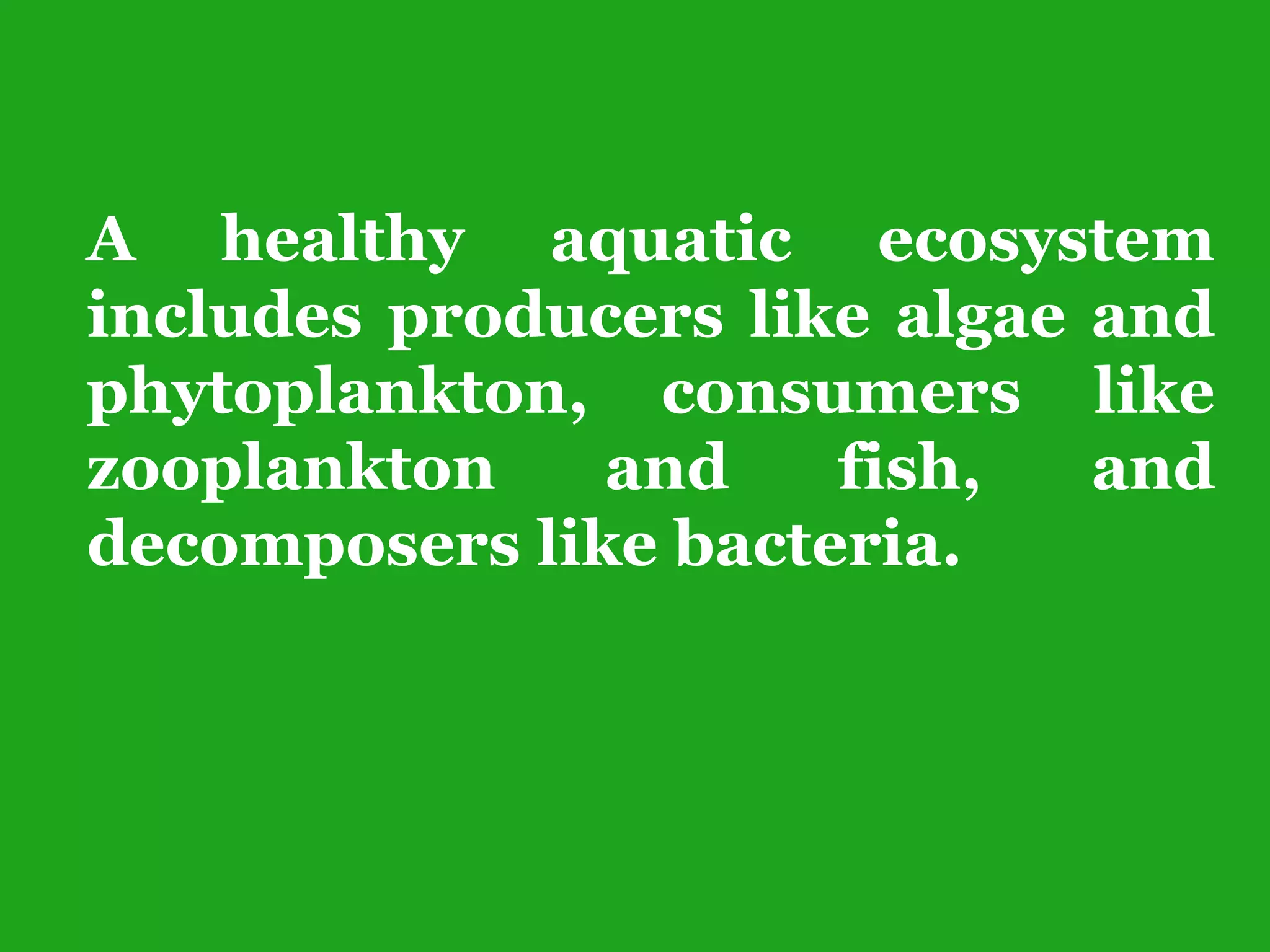 A healthy aquatic ecosystem
includes producers like algae and
phytoplankton, consumers like
zooplankton and fish, and
decomposers like bacteria.
 