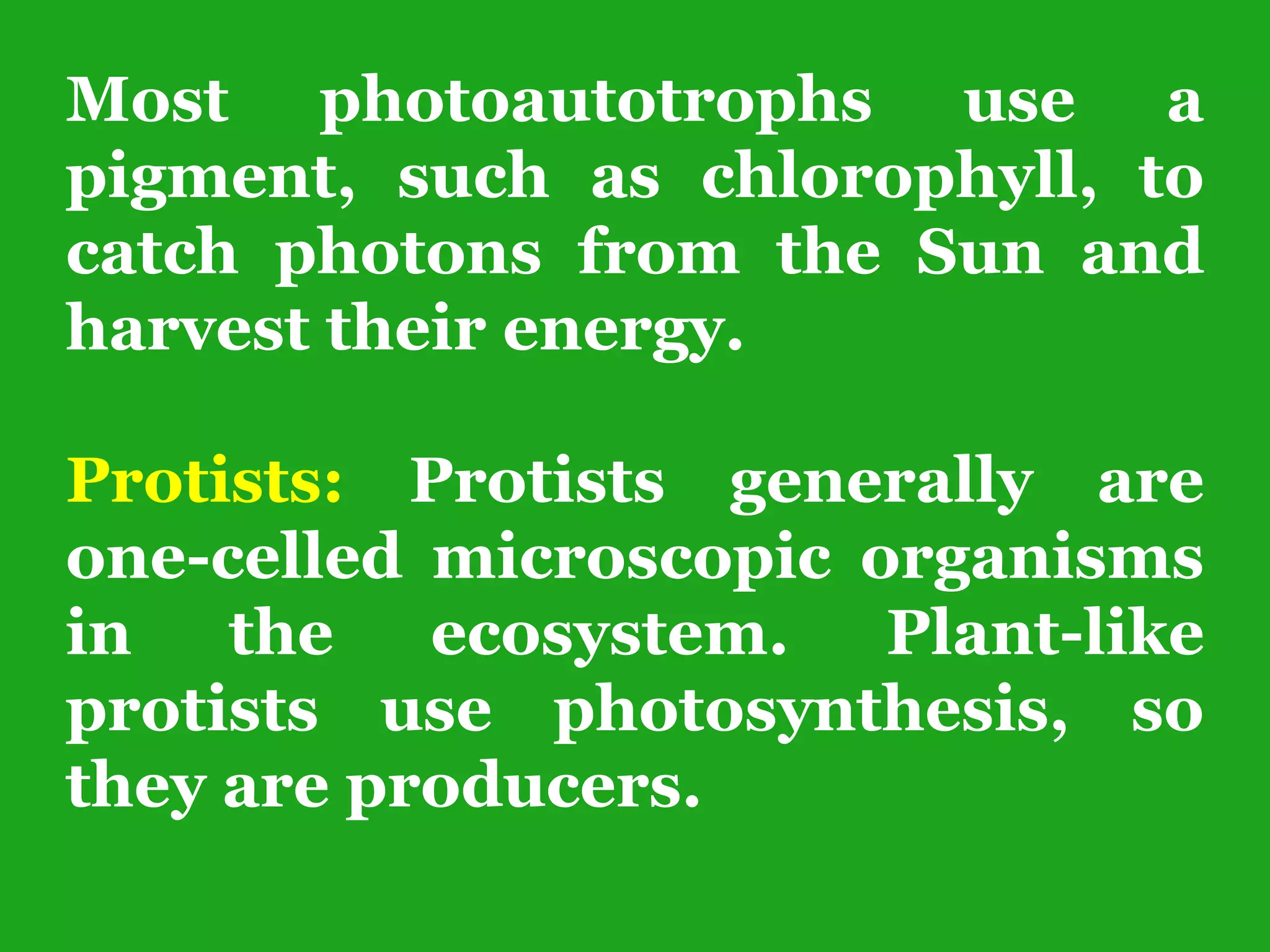 Most photoautotrophs use a
pigment, such as chlorophyll, to
catch photons from the Sun and
harvest their energy.
Protists: Protists generally are
one-celled microscopic organisms
in the ecosystem. Plant-like
protists use photosynthesis, so
they are producers.
 