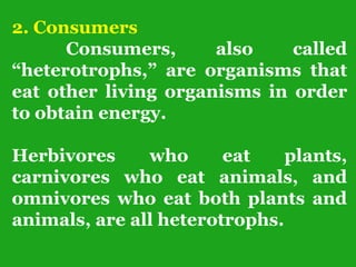 2. Consumers
Consumers, also called
“heterotrophs,” are organisms that
eat other living organisms in order
to obtain energy.
Herbivores who eat plants,
carnivores who eat animals, and
omnivores who eat both plants and
animals, are all heterotrophs.
 