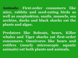 Animals: First-order consumers like
mice, rabbits and seed-eating birds as
well as zooplankton, snails, mussels, sea
urchins, ducks and black sharks eat the
plants and algae.
Predators like Bobcats, bears, Killer
whales and Tiger sharks eat first-order
consumers. Omnivores like bears and
rotifers (nearly microscopic aquatic
animals) eat both plants and animals.
 