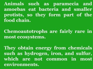 Animals such as paramecia and
amoebas eat bacteria and smaller
protists, so they form part of the
food chain.
Chemoautotrophs are fairly rare in
most ecosystems.
They obtain energy from chemicals
such as hydrogen, iron, and sulfur,
which are not common in most
environments.
 