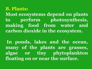 B. Plants:
Most ecosystems depend on plants
to perform photosynthesis,
making food from water and
carbon dioxide in the ecosystem.
In ponds, lakes and the ocean,
many of the plants are grasses,
algae or tiny phytoplankton
floating on or near the surface.
 