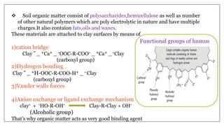 Biotic factors in soil formation,soil aggregation | PPTX