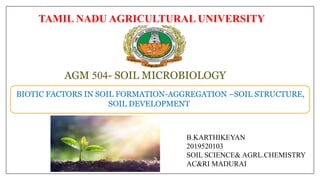 BIOTIC FACTORS IN SOIL FORMATION-AGGREGATION –SOIL STRUCTURE,
SOIL DEVELOPMENT
AGM 504- SOIL MICROBIOLOGY
B.KARTHIKEYAN
2019520103
SOIL SCIENCE& AGRL.CHEMISTRY
AC&RI MADURAI
TAMIL NADU AGRICULTURAL UNIVERSITY
 