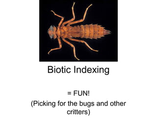 Biotic Indexing

             = FUN!
(Picking for the bugs and other
             critters)
 