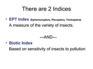 Biotic indexing | PPT | Geography | Science