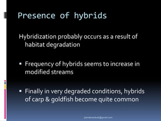 Presence of hybrids
Hybridization probably occurs as a result of
habitat degradation
 Frequency of hybrids seems to increase in

modified streams
 Finally in very degraded conditions, hybrids

of carp & goldfish become quite common
jitenderanduat@gmail.com

 