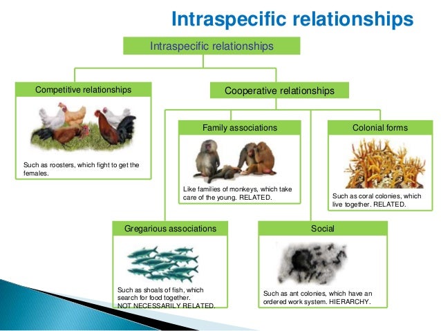 Biotic relations
