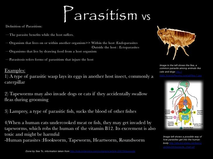 PARASITISM DEFINITION PDF PARASITISM DEFINITION PDF