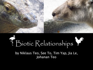 FBiotic      Relationships c
 by Niklaus Teo, See To, Tim Yap, Jia Le,
              Johanan Teo
 