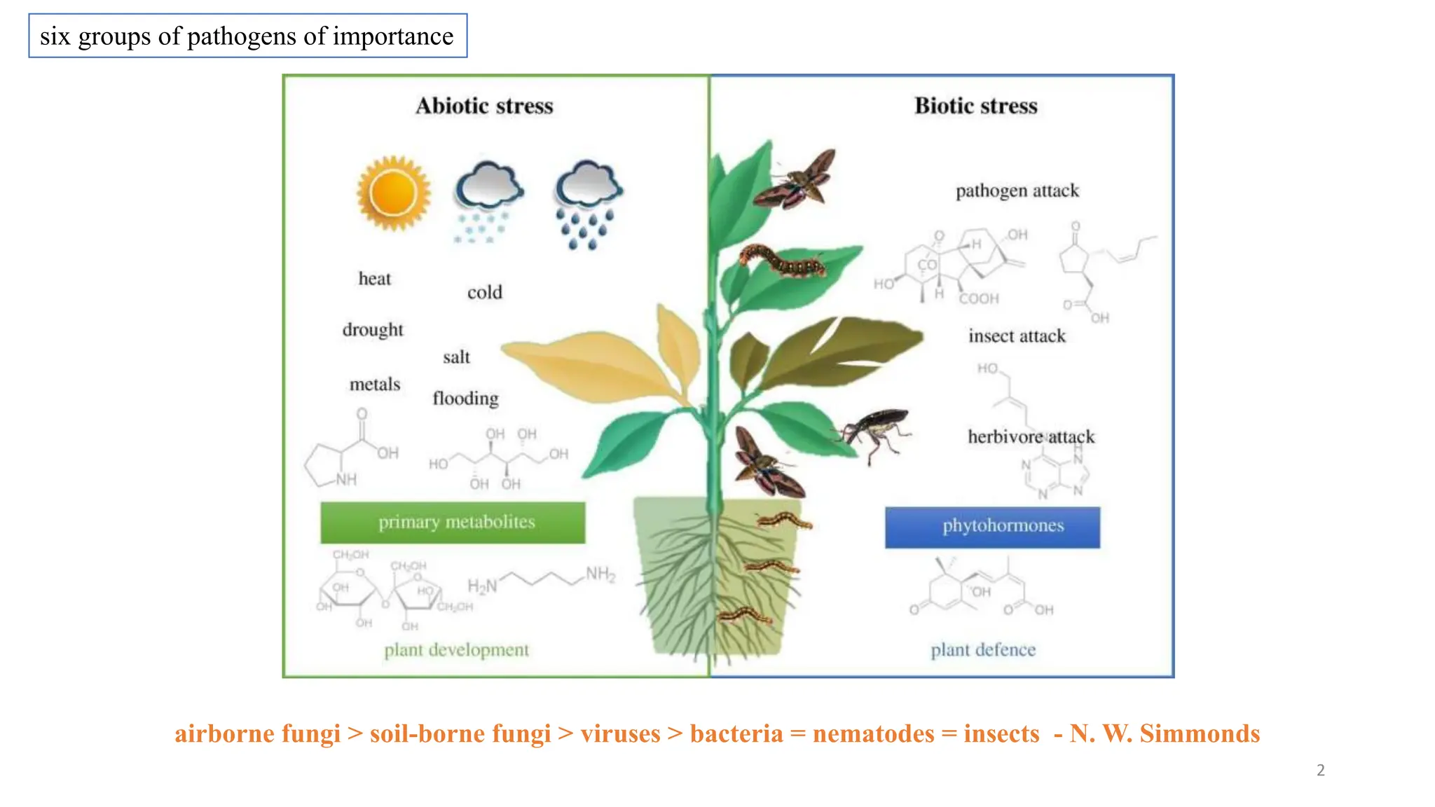 BREEDING FOR RESISTANCE TO BIOTIC STRESS.pptx