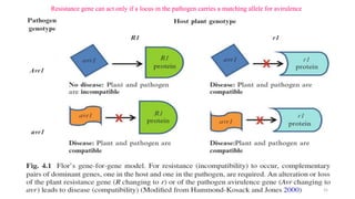 BREEDING FOR RESISTANCE TO BIOTIC STRESS.pptx