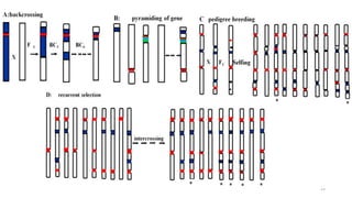 BREEDING FOR RESISTANCE TO BIOTIC STRESS.pptx