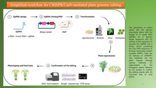 BREEDING FOR RESISTANCE TO BIOTIC STRESS.pptx