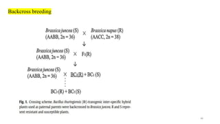 BREEDING FOR RESISTANCE TO BIOTIC STRESS.pptx