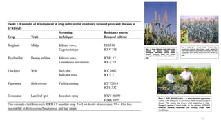 BREEDING FOR RESISTANCE TO BIOTIC STRESS.pptx
