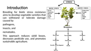 Advanced Breeding Strategies for Biotic Stress Resistance in Vegetable ...