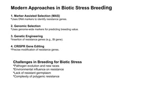 Advanced Breeding Strategies for Biotic Stress Resistance in Vegetable ...