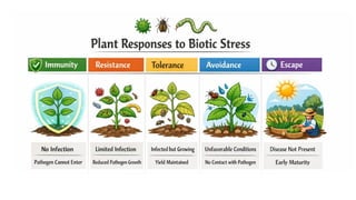 Advanced Breeding Strategies for Biotic Stress Resistance in Vegetable ...
