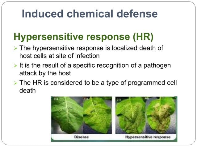 Biotic stresses in plants | PPTX | Gardening | Home & Garden
