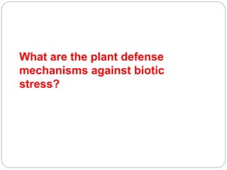 Biotic stresses in plants | PPTX