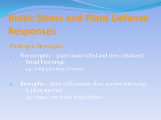 Biotic stress (mujahid hussain 127) | PPTX
