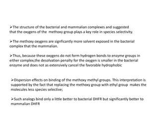 The structure of the bacterial and mammalian complexes and suggested
that the oxygens of the methoxy group plays a key role in species selectivity.

The methoxy oxygens are signficantly more solvent exposed in the bacterial
complex that the mammalian.

Thus, because these oxygens do not form hydrogen bonds to enzyme groups in
either complex,the desolvation penalty for the oxygen is smaller in the bacterial
enzyme and does not as extensively cancel the favorable hydrophobic


Dispersion effects on binding of the methoxy methyl groups. This interpretation is
supported by the fact that replacing the methoxy group with ethyl group makes the
molecules less species selective;

Such analogs bind only a little better to bacterial DHFR but significantly better to
mammalian DHFR
 