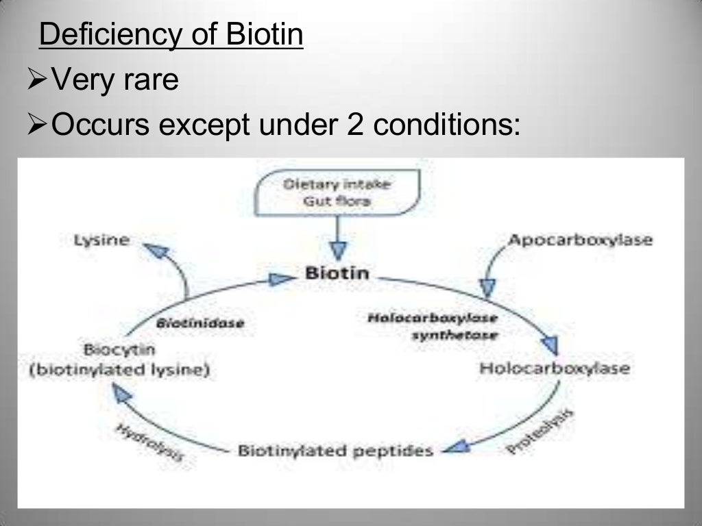 Biotin ( vitamin B7) Egg white injury, Leiner's disease