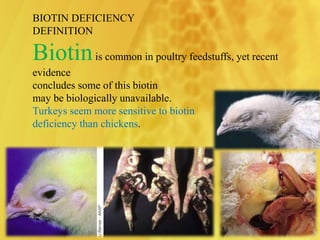 BIOTIN DEFICIENCY
DEFINITION
Biotinis common in poultry feedstuffs, yet recent
evidence
concludes some of this biotin
may be biologically unavailable.
Turkeys seem more sensitive to biotin
deficiency than chickens.
 
