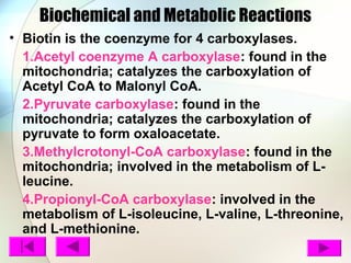 Biochemical and Metabolic Reactions
• Biotin is the coenzyme for 4 carboxylases.
1.Acetyl coenzyme A carboxylase: found in the
mitochondria; catalyzes the carboxylation of
Acetyl CoA to Malonyl CoA.
2.Pyruvate carboxylase: found in the
mitochondria; catalyzes the carboxylation of
pyruvate to form oxaloacetate.
3.Methylcrotonyl-CoA carboxylase: found in the
mitochondria; involved in the metabolism of L-
leucine.
4.Propionyl-CoA carboxylase: involved in the
metabolism of L-isoleucine, L-valine, L-threonine,
and L-methionine.
 