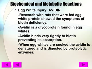 Biochemical and Metabolic Reactions
• Egg White Injury: AVIDIN
-Research with rats that were fed egg
white protein showed the symptoms of
biotin deficiency.
-Avidin is a glycoprotein found in egg
whites.
-Avidin binds very tightly to biotin
preventing its absorption.
-When egg whites are cooked the avidin is
denatured and is digested by proteolytic
enzymes.
 