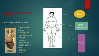 Tórax y
abdomen
Extremi
dades
Cabeza
A este tipo de constitución se
le atribuye:
• Patologías relacionadas con:
-hipertensión
arterial
-cardiopatías
-hiperlipidemia
-artrosis
-varices
-pancreatitis
-litiasis biliar y
renal
-diabetes
-cirrosis
 