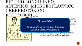 Biotipo morfológico, tiempos del examen físico y.pptx