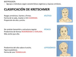 BIOTIPOLOGÍA:
- Agrupa a individuos según características orgánicas y síquicas similares.

CLASIFICACIÓN DE KRETSCHMER
Rasgos armónicos, fuertes y firmes.
Forma de la cada, maxilar e ICS CUADRADA.
Proporción de alto y ancho.

ATLÉTICO

De carácter bonachón y estructura regular.
PÍCNICO
Predominio de formas REDONDEADA U OVALADA.
Más ancho que alto.

Predominio del alto sobre el ancho.
Figura quijotesca.
Forma de cara TRIANGULAR.

LEPTOSÓMICO

 