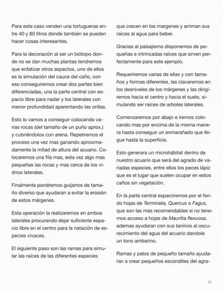Para este caso venden una tortugueras en-
tre 40 y 80 litros donde también se pueden
hacer cosas interesantes.
Para la decoración al ser un biótopo don-
de no se dan muchas plantas tendremos
que enfatizar otros aspectos, uno de ellos
es la simulación del cauce del caño, con
eso conseguiremos crear dos partes bien
diferenciadas, una la parte central con es-
pacio libre para nadar y los laterales con
menor profundidad aparentando las orillas.
Esto lo vamos a conseguir colocando va-
rias rocas (del tamaño de un puño aprox.)
y cubriéndolos con arena. Repetiremos el
proceso una vez mas ganando aproxima-
damente la mitad de altura del acuario. Co-
locaremos una ﬁla mas, esta vez algo mas
pequeñas las rocas y mas cerca de los vi-
drios laterales.
Finalmente pondremos guijarros de tama-
ño diverso que ayudaran a evitar la erosión
de estos márgenes.
Esta operación la realizaremos en ambos
laterales procurando dejar suﬁciente espa-
cio libre en el centro para la natación de es-
pecies vivaces.
El siguiente paso son las ramas para simu-
lar las raíces de las diferentes especies
que crecen en los margenes y arriman sus
raíces al agua para beber.
Gracias al paisajismo disponemos de pe-
queñas e intrincadas raíces que sirven per-
fectamente para este ejemplo.
Requeriremos varias de ellas y con tama-
ños y formas diferentes, las clavaremos en
los desniveles de los márgenes y las dirigi-
remos hacia el centro y hacia el suelo, si-
mulando ser raíces de arboles laterales.
Comenzaremos por abajo e iremos colo-
cando mas por encima de la misma mane-
ra hasta conseguir un enmarañado que lle-
gue hasta la superﬁcie.
Esto generara un microhábitat dentro de
nuestro acuario que será del agrado de va-
riadas especies, entre ellos los peces lápiz
que es el lugar que suelen ocupar en estos
caños sin vegetación.
En la parte central esparciremos por el fon-
do hojas de Terminalia, Quercus o Fagus,
que son las mas recomendables si no tene-
mos acceso a hojas de Mauritia ﬂexuosa,
ademas ayudaran con sus tanínos al oscu-
recimiento del agua del acuario dandole
un tono ambarino.
Ramas y palos de pequeño tamaño ayuda-
ran a crear pequeños escondites del agra-
12
 
