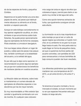 do de las especies de fondo y pequeños
Ciclidos.
Dejaremos en la parte frontal una zona des-
pejada de arena, así peces que habitual-
mente rebuscan su alimento en el fondo,
tendrán un espacio para ello.
Aunque en este biótopo concretamente no
hay apenas vegetación acuática, en otros
similares si que encontramos sobre todo
ﬂotantes. Se puede poner opcionalmente
algunos ejemplares de Eichornia crassipes,
Pistia stratiotes o Limnobium laevigatum.
Con sus largas raíces ofrecen un lugar de
puesta y cobijo para los peces mas peque-
ños, también contribuyen a la estabilidad
del acuario y a la calidad del agua.
Es por ello que lo dejo como opcional, mi
recomendación es poner algunos ejempla-
res ya que son sustanciosos los beneﬁcios
de mantener plantas en nuestros acuarios.
La ﬁltración debe ser eﬁciente, sobre todo
si mantenemos un numero elevado de
ejemplares de diferentes especies o nos
decidimos por las de mayor tamaño.
Es muy recomendable un ﬁltro exterior tipo
canister e igualmente combinarlo con uno
de mochila. En cualquier caso colocare-
mos carga de turba en alguno de ellos que
coloreara el agua y servirá para darle un as-
pecto muy similar al del agua del caño.
Como otra opción tenemos extractos de
turba, que igualmente consiguen simular
este efecto.
La iluminación no es lo mas importante en
este montaje ya que al ser un caño de
aguas negras que atraviesa un tupido mori-
chal, en su ambiente no es gran luz la que
llega hasta el suelo. Por otra parte esta luz
suele llegar en forma de pequeños claros,
así que si queremos iluminar partes del
acuario concretas, con pantallas de LED
para nanoacuarios o incluso bombillas de
bajo consumo pueden dar buen resultado.
Los diferentes parámetros que deberemos
mantener son una temperatura de 24º-
25ºC, un ph entre 6.0-6.5 y Kh entre 2º y
5º.
Ya tenemos el acuario montado y ha co-
menzado el ciclado, es buen momento pa-
ra ver que especies frecuentan esta que-
brada a lo largo del año.
13
 