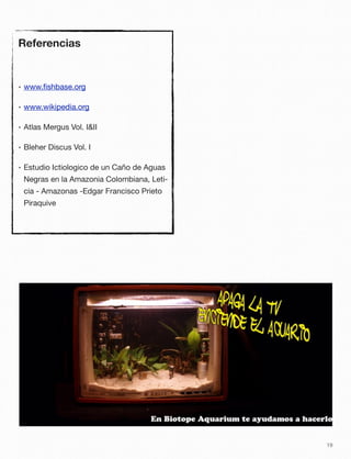 Referencias
• www.ﬁshbase.org
• www.wikipedia.org
• Atlas Mergus Vol. I&II
• Bleher Discus Vol. I
• Estudio Ictiologico de un Caño de Aguas
Negras en la Amazonia Colombiana, Leti-
cia - Amazonas -Edgar Francisco Prieto
Piraquive 
19
 