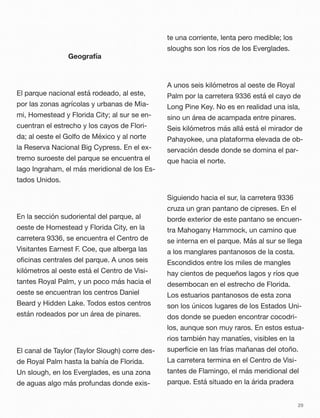 Geografía
El parque nacional está rodeado, al este,
por las zonas agrícolas y urbanas de Mia-
mi, Homestead y Florida City; al sur se en-
cuentran el estrecho y los cayos de Flori-
da; al oeste el Golfo de México y al norte
la Reserva Nacional Big Cypress. En el ex-
tremo suroeste del parque se encuentra el
lago Ingraham, el más meridional de los Es-
tados Unidos.
En la sección sudoriental del parque, al
oeste de Homestead y Florida City, en la
carretera 9336, se encuentra el Centro de
Visitantes Earnest F. Coe, que alberga las
oﬁcinas centrales del parque. A unos seis
kilómetros al oeste está el Centro de Visi-
tantes Royal Palm, y un poco más hacia el
oeste se encuentran los centros Daniel
Beard y Hidden Lake. Todos estos centros
están rodeados por un área de pinares.
El canal de Taylor (Taylor Slough) corre des-
de Royal Palm hasta la bahía de Florida.
Un slough, en los Everglades, es una zona
de aguas algo más profundas donde exis-
te una corriente, lenta pero medible; los
sloughs son los ríos de los Everglades.
A unos seis kilómetros al oeste de Royal
Palm por la carretera 9336 está el cayo de
Long Pine Key. No es en realidad una isla,
sino un área de acampada entre pinares.
Seis kilómetros más allá está el mirador de
Pahayokee, una plataforma elevada de ob-
servación desde donde se domina el par-
que hacia el norte.
Siguiendo hacia el sur, la carretera 9336
cruza un gran pantano de cipreses. En el
borde exterior de este pantano se encuen-
tra Mahogany Hammock, un camino que
se interna en el parque. Más al sur se llega
a los manglares pantanosos de la costa.
Escondidos entre los miles de mangles
hay cientos de pequeños lagos y ríos que
desembocan en el estrecho de Florida.
Los estuarios pantanosos de esta zona
son los únicos lugares de los Estados Uni-
dos donde se pueden encontrar cocodri-
los, aunque son muy raros. En estos estua-
rios también hay manatíes, visibles en la
superﬁcie en las frías mañanas del otoño.
La carretera termina en el Centro de Visi-
tantes de Flamingo, el más meridional del
parque. Está situado en la árida pradera
29
 