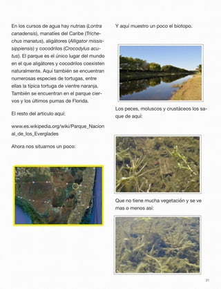 En los cursos de agua hay nutrias (Lontra
canadensis), manatíes del Caribe (Triche-
chus manatus), aligátores (Alligator missis-
sippiensis) y cocodrilos (Crocodylus acu-
tus). El parque es el único lugar del mundo
en el que aligátores y cocodrilos coexisten
naturalmente. Aquí también se encuentran
numerosas especies de tortugas, entre
ellas la típica tortuga de vientre naranja.
También se encuentran en el parque cier-
vos y los últimos pumas de Florida.
El resto del articulo aquí:
www.es.wikipedia.org/wiki/Parque_Nacion
al_de_los_Everglades
Ahora nos situamos un poco:
Y aquí muestro un poco el biotopo.
Los peces, moluscos y crustáceos los sa-
que de aquí:
Que no tiene mucha vegetación y se ve
mas o menos así:
31
 
