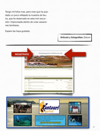 Tengo mil fotos mas, pero creo que ha que-
dado un poco reﬂejado la muestra de fau-
na, que he observado en esta mini excur-
sión. Improvisada dentro de unas vacacio-
nes familiares.
Espero les haya gustado.
37
REGISTRATE
Artículo y fotografías: Soluxn
 