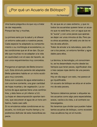 3
¿Por qué un Acuario de Biótopo?
Una buena pregunta a la que voy a tratar
de dar respuesta.
Porque las hay y muchas.
La primera seria por la salud y el ofrecer
un entorno adecuado a nuestros peces.
Cada especie ha adaptado su comporta-
miento o su morfología al ecosistema y a
las condiciones que en él se dan. Es por
ello que muchas no se adaptan a la vida
en cautividad o en el caso de hacerlo, es
con unos requerimientos muy concretos.
Pongamos el ejemplo del Betta browno-
rum. Este diminuto pariente del adaptable
Betta splendens habita en un nicho ecoló-
gico muy concreto.
Estos son cuerpos de agua estancados o
con una leve corriente, una gran cantidad
de hojas muertas y de vegetación. La co-
lumna de agua apenas tiene unos centíme-
tros, y ésta tiene un ph inferior a 5.0.
La hojas en descomposición aportan tani-
nos, que oscurecen el agua de un tono am-
barino, hasta casi café.
Si no emulamos estas condiciones en su
acuario, no vivirá por mucho tiempo y no
podremos disfrutar de esta maravillosa es-
pecie.
Sí, se que es un caso extremo, y que no
todos los acuaristas quieren tener un acua-
rio que no está lleno, con un agua que es-
tá "sucia" y con unos peces que apenas
se dejan ver unos minutos al día. Pero pa-
ra otros acuaristas, ahí está uno de los re-
tos de esta aﬁción.
Tratar de emular a la naturaleza, para ofre-
cer a los peces, un entorno familiar y agra-
dable para ellos.
La técnica, la tecnología y el conocimien-
to, se ha desarrollado mucho desde los
tiempos que tener peces, signiﬁcaban dos
o tres carpas rojas dentro de una pecera
de bola.
Hoy en día seguir con esto, me parece al-
go injustiﬁcable.
Un acuario de biótopo se sitúa en el extre-
mo de esta pecera.
Tampoco debemos pensar o etiquetar es-
tos acuarios como algo para especialistas,
sosos, vacíos a la vista, o al contrario so-
brecargados.
No tenemos que olvidar que pueden haber
tantos acuarios de biótopo, como ecosiste-
mas acuáticos hay en el mundo.
Por Pezerologo
 