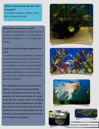 41
¿Qué 5 especies son las que más
te gustan?
Loricáridos, Guppys, Gobios, Rami-
rezi y Discos sin duda.
¿Mantienes acuarios en casa?
Si, jajaja 5, pero debido a la falta de tiem-
po se van a quedar en 3, ya que tres de
ellos se uniﬁcarán en 1, uﬀ no hay más
tiempo.
¿Qué te parece Biotope Aquarium Fo-
rum?
La verdad es que sorprendida, cuando lo
encontré me sorprendió la cantidad de
artículos sobre un tema muy poco trata-
do en España, artículos de gran calidad
que desconocía en su mayoría, ofrece
grandes posibilidades a los aﬁcionados,
yo misma voy a preparar algún biótopo
después de leeros.
Nos alegramos de conocer a Vanesa
(Akela) y su tienda Aquavilla Exotic
Fish, les deseamos lo mejor en esta
aventura de su nueva tienda, sin duda
se la merece, ya que vuelvo a insistir la
pulcritud de sus instalaciones es algo
que valoro mucho (creo que esto dice
mucho de como se preocupan por los
peces) y naturalmente los conocimien-
tos de quien me atiende.
Artículo y fotografías: Argonauta
 