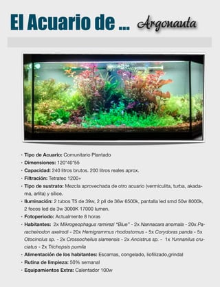 El Acuario de ... Argonauta
• Tipo de Acuario: Comunitario Plantado
• Dimensiones: 120*40*55
• Capacidad: 240 litros brutos. 200 litros reales aprox.
• Filtración: Tetratec 1200+
• Tipo de sustrato: Mezcla aprovechada de otro acuario (vermiculita, turba, akada-
ma, arlita) y sílice.
• Iluminación: 2 tubos T5 de 39w, 2 pll de 36w 6500k, pantalla led smd 50w 8000k,
2 focos led de 3w 3000K 17000 lumen.
• Fotoperiodo: Actualmente 8 horas
• Habitantes:  2x Mikrogeophagus ramirezi “Blue” - 2x Nannacara anomala - 20x Pa-
racheirodon axelrodi - 20x Hemigrammus rhodostomus - 5x Corydoras panda - 5x
Otocinclus sp. - 2x Crossocheilus siamensis - 2x Ancistrus sp. - 1x Yunnanilus cru-
ciatus - 2x Trichopsis pumila
• Alimentación de los habitantes: Escamas, congelado, lioﬁlizado,grindal
• Rutina de limpieza: 50% semanal
• Equipamientos Extra: Calentador 100w
 