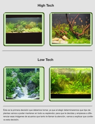 High Tech
Low Tech
Ésta es la primera decisión que debemos tomar, ya que al elegir determinaremos que tipo de
plantas vamos a poder mantener en todo su esplendor, para que te decidas y empieces a dife-
renciar esas imágenes de acuarios que tanto te llaman la atención, vamos a explicar que conlle-
va esta decisión.
 