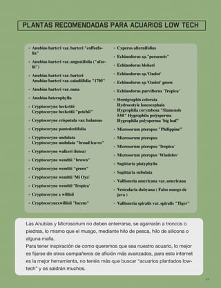 64
PLANTAS RECOMENDADAS PARA ACUARIOS LOW TECH
• Anubias barteri var. barteri "coffeefo-
lia"
• Anubias barteri var. angustifolia ("afze-
lii")
• Anubias barteri var. barteri 
Anubias barteri var. caladiifolia "1705"
• Anubias barteri var. nana
• Anubias heterophylla
• Cryptocoryne beckettii 
Cryptocoryne beckettii "petchii"
• Cryptocoryne crispatula var. balansae
• Cryptocoryne pontederiifolia
• Cryptocoryne undulata 
Cryptocoryne undulata "broad leaves"
• Cryptocoryne walkeri (lutea)
• Cryptocoryne wendtii "brown"
• Cryptocoryne wendtii "green"
• Cryptocoryne wendtii 'Mi Oya'
• Cryptocoryne wendtii 'Tropica'
• Cryptocoryne x willisii
• Cryptocorynexwillisii "lucens" 
• Cyperus alternifolius
• Echinodorus sp."peruensis"
• Echinodorus bleheri
• Echinodorus sp.'Ozelot'
• Echinodorus sp.'Ozelot' green
• Echinodorus parviﬂorus 'Tropica'
• Hemigraphis colorata 
Hydrocotyle leucocephala 
Hygrophila corymbosa "Siamensis
53B" Hygrophila polysperma 
Hygrophila polysperma 'big leaf"
• Microsorum pteropus "Philippine”
• Microsorum pteropus
• Microsorum pteropus 'Tropica'
• Microsorum pteropus 'Windelov'
• Sagittaria platyphylla
• Sagittaria subulata
• Vallisneria americana var. americana
• Vesicularia dubyana ( Falso musgo de
java )
• Vallisneria spiralis var. spiralis "Tiger"
Las Anubias y Microsorium no deben enterrarse, se agarrarán a troncos o
piedras, lo mismo que el musgo, mediante hilo de pesca, hilo de silicona o
alguna malla.
Para tener inspiración de como queremos que sea nuestro acuario, lo mejor
es ﬁjarse de otros compañeros de aﬁción más avanzados, para esto internet
es la mejor herramienta, no tenéis más que buscar “acuarios plantados low-
tech” y os saldrán muchos.
 