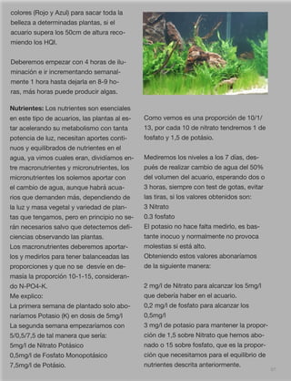 67
colores (Rojo y Azul) para sacar toda la
belleza a determinadas plantas, si el
acuario supera los 50cm de altura reco-
miendo los HQI.
Deberemos empezar con 4 horas de ilu-
minación e ir incrementando semanal-
mente 1 hora hasta dejarla en 8-9 ho-
ras, más horas puede producir algas.
Nutrientes: Los nutrientes son esenciales
en este tipo de acuarios, las plantas al es-
tar acelerando su metabolismo con tanta
potencia de luz, necesitan aportes conti-
nuos y equilibrados de nutrientes en el
agua, ya vimos cuales eran, dividíamos en-
tre macronutrientes y micronutrientes, los
micronutrientes los solemos aportar con
el cambio de agua, aunque habrá acua-
rios que demanden más, dependiendo de
la luz y masa vegetal y variedad de plan-
tas que tengamos, pero en principio no se-
rán necesarios salvo que detectemos deﬁ-
ciencias observando las plantas.
Los macronutrientes deberemos aportar-
los y medirlos para tener balanceadas las
proporciones y que no se  desvíe en de-
masía la proporción 10-1-15, consideran-
do N-PO4-K.
Me explico:
La primera semana de plantado solo abo-
naríamos Potasio (K) en dosis de 5mg/l
La segunda semana empezaríamos con
5/0,5/7,5 de tal manera que sería:
5mg/l de Nitrato Potásico
0,5mg/l de Fosfato Monopotásico
7,5mg/l de Potásio.
Como vemos es una proporción de 10/1/
13, por cada 10 de nitrato tendremos 1 de
fosfato y 1,5 de potásio.
Mediremos los niveles a los 7 días, des-
pués de realizar cambio de agua del 50%
del volumen del acuario, esperando dos o
3 horas, siempre con test de gotas, evitar
las tiras, si los valores obtenidos son:
3 Nitrato
0.3 fosfato
El potasio no hace falta medirlo, es bas-
tante inocuo y normalmente no provoca
molestias si está alto.
Obteniendo estos valores abonaríamos
de la siguiente manera:
2 mg/l de Nitrato para alcanzar los 5mg/l
que debería haber en el acuario.
0,2 mg/l de fosfato para alcanzar los
0,5mg/l
3 mg/l de potasio para mantener la propor-
ción de 1,5 sobre Nitrato que hemos abo-
nado o 15 sobre fosfato, que es la propor-
ción que necesitamos para el equilibrio de
nutrientes descrita anteriormente.
 