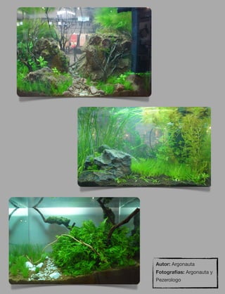 72
Autor: Argonauta
Fotograﬁas: Argonauta y
Pezerologo
 