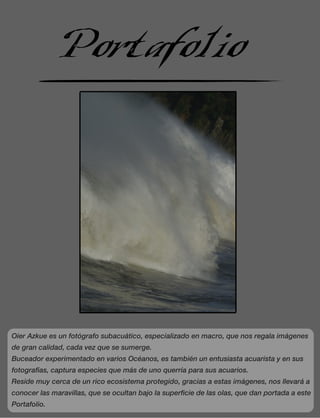 Portafolio
Oier Azkue es un fotógrafo subacuático, especializado en macro, que nos regala imágenes
de gran calidad, cada vez que se sumerge.
Buceador experimentado en varios Océanos, es también un entusiasta acuarista y en sus
fotografías, captura especies que más de uno querría para sus acuarios.
Reside muy cerca de un rico ecosistema protegido, gracias a estas imágenes, nos llevará a
conocer las maravillas, que se ocultan bajo la superficie de las olas, que dan portada a este
Portafolio.
 