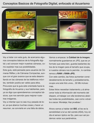 Conceptos Basicos de Fotografia Digital, enfocado al Acuarismo
Voy a tratar con esta guía, de acercaros algu-
nos conceptos básicos de la fotografía digi-
tal y así conocer mejor nuestras cámaras, co-
mo explotar mas sus posibilidades.
Esta guía, está pensada para usuarios de Cá-
maras Réﬂex y de Cámaras Compactas, aun-
que con el gran avance que se esta desarro-
llando en las cámaras de los teléfonos móvi-
les, también podría ser valido para ellos.
Procurare que la guía este orientada hacia la
fotografía de Acuarios y sus habitantes, pero
ya os digo que aprenderemos conceptos bá-
sicos, que nos servirán para mejorar nues-
tras imágenes.
Voy a intentar que no sea muy pesada de le-
er, ya que abarca muchas cosas y hacer un
resumen, se convierte en una falta de datos.
Vamos a empezar, la Calidad de la imagen,
normalmente guardamos en JPG, que es un
formato que esta bien, guarda bastantes da-
tos de la imagen para el tamaño que ocupa,
si nuestra cámara nos lo permite , lo cambia-
remos a RAW o RAW+JPG.
Con este cambio, las fotos aumentan consi-
derablemente de tamaño y probablemente,
ocupe una sola foto unos... 30 Mb incluso
mas.
Estas fotos necesitan tratamiento y al alma-
cenar toda la información del momento del
disparo, al trabajar con ella tendremos abier-
tas todas las posibilidades, casi como volver-
la a sacar. Moraleja; Haz pruebas !
Ahora vamos a hablar del ISO, el Iso es la
sensibilidad a la luz del carrete (ASA), hoy en
día el sensor óptico es ﬁjo, pero aun así po-
demos variar sus parámetros.
 